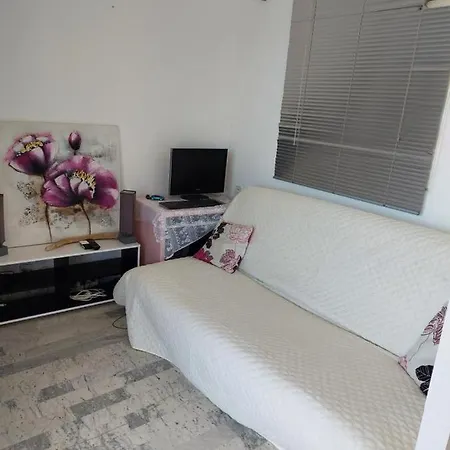 Sanguinaires Appt 3p Pour 4 A 5 P Ttes Commodites Tt Confort A 300m De La Et A 5 Mn Du Centre